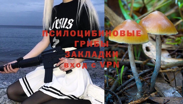 индика Заводоуковск