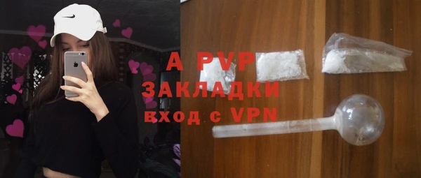 индика Заводоуковск