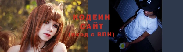 индика Заводоуковск