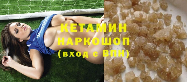 индика Заводоуковск