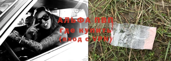 сатива Заволжск