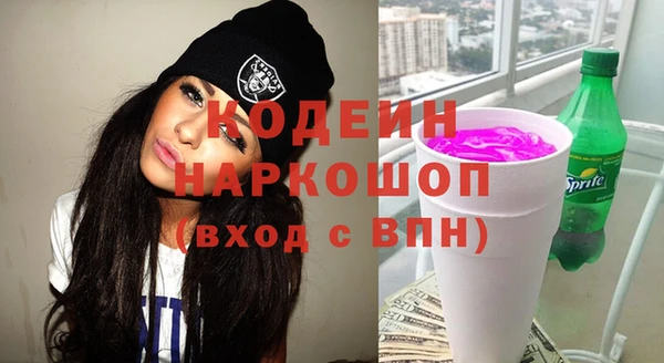 индика Заводоуковск