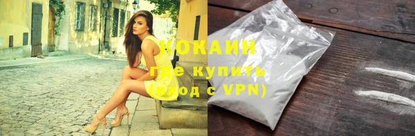 индика Заводоуковск