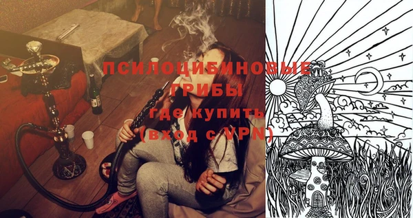 индика Заводоуковск