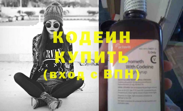 индика Заводоуковск