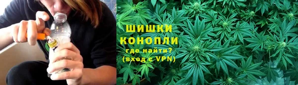 сатива Заволжск