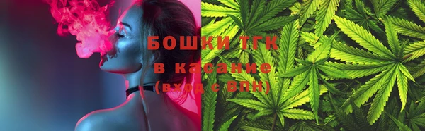 сатива Заволжск