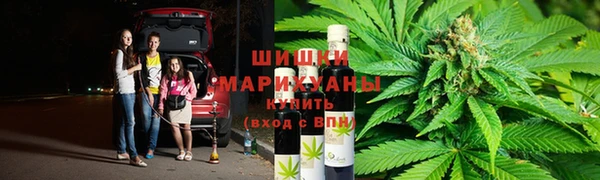 индика Заводоуковск